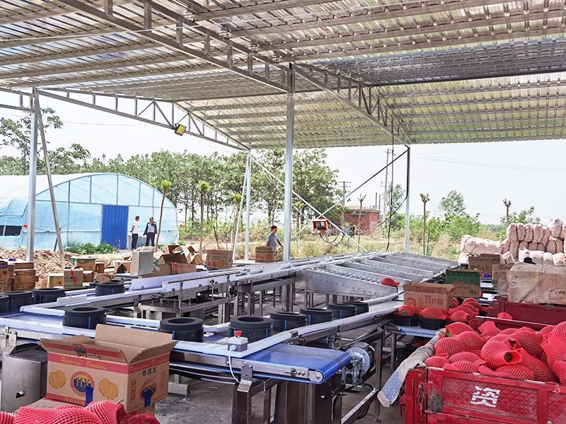 哈密瓜分選機、重量分選機、分級機、分揀機