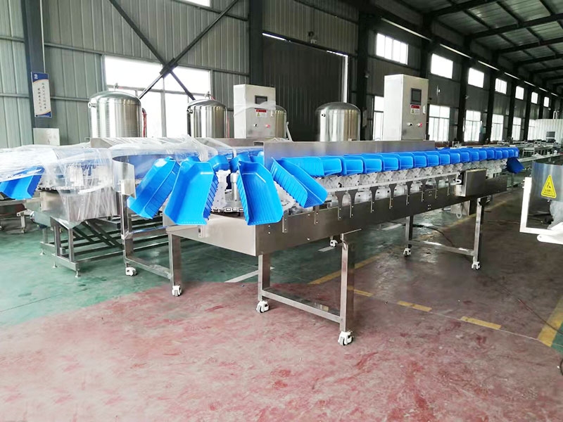 家禽、白條雞、白條鴨重量分選機