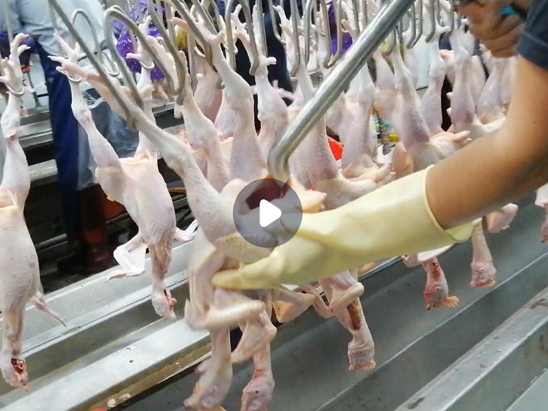 吸肺機(jī)（雞肺、甲魚內(nèi)臟、油脂）